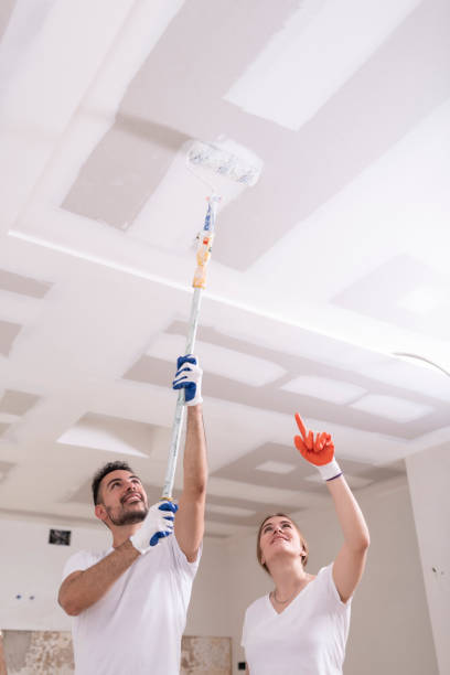 Best Mold Prevention Services  in Malvern, AR
